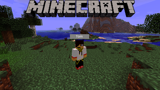 Graphics: a minecraft Cinematics